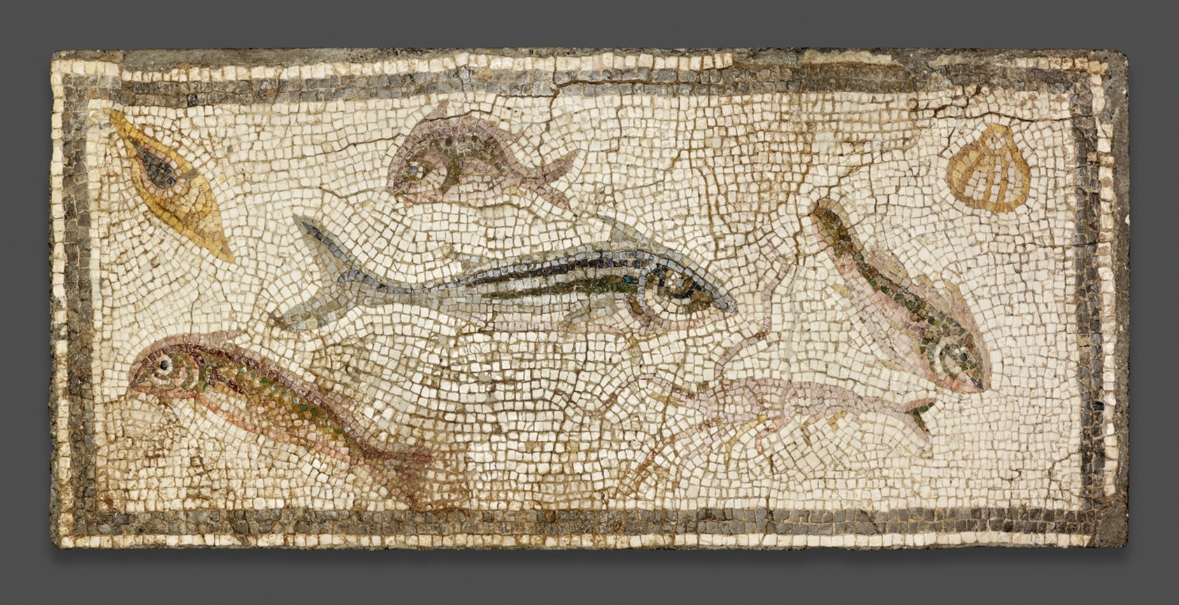 Description from the Art Institute of Chicago: “This mosaic, which was discovered in a house in Daphne (modern Harbiye), a prosperous garden town near Antioch, depicts several species of fish and shellfish. The representation of these sea creatures was likely intended to convey a message about the owner’s wealth as well as the variety of food available in the home.”