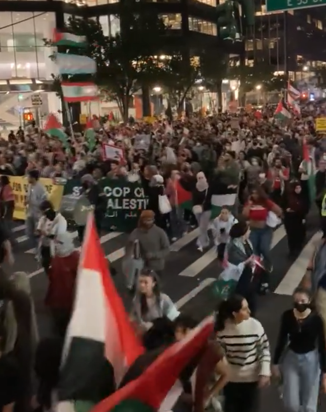 Mass march in NYC to Free Palestine. 