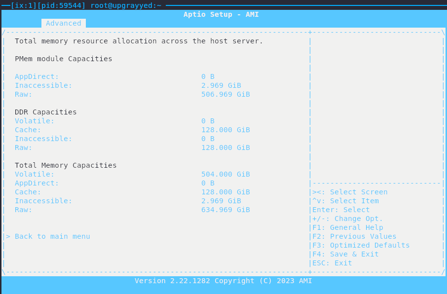 a Serial over LAN terminal pane, showing the BIOS information from a Supermicro X12 motherboard, which displays Optane NVDIMM module specs and their summary values