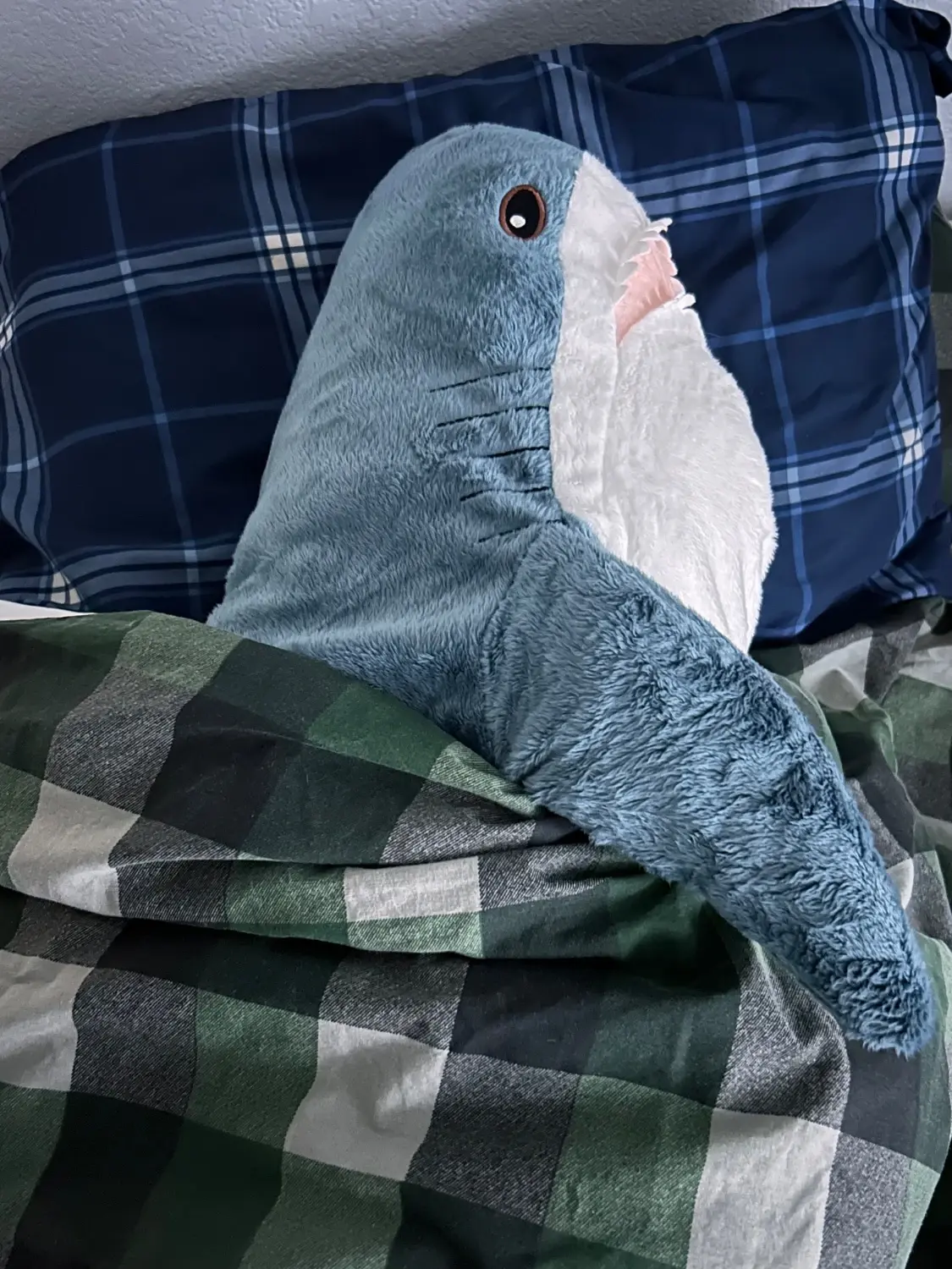 Stuffed shark tucked into a bed with a plaid comforter. 