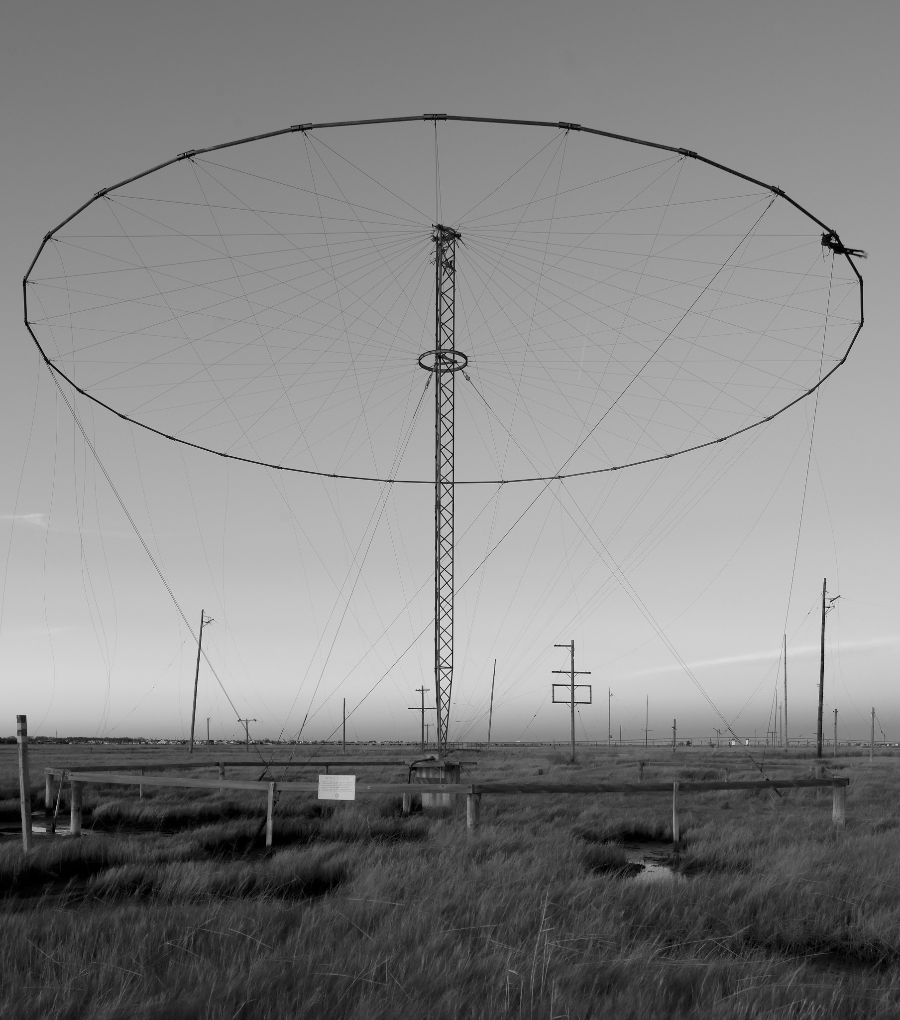 A vertical mast with a large horizontal ring at the top, supported by an array of wires, in a marshland. Other antennas and supports are visible in background.