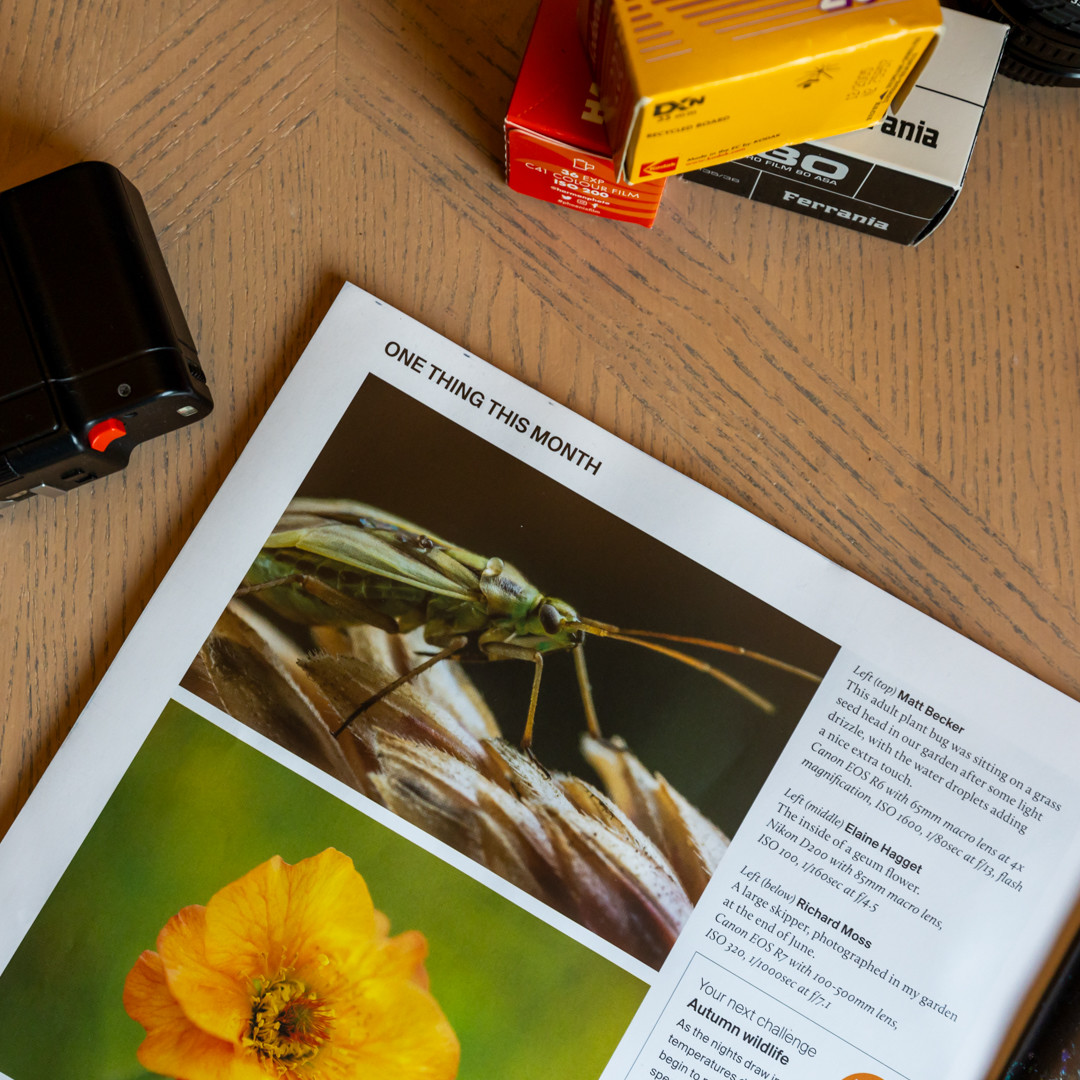 a photo of a corner of a magazine sitting on a desk with some photography nick nacks next to it. the magazine is opened on a page with an image of a green and brown bug on some grass and the name next to it is "matt becker", which is me!