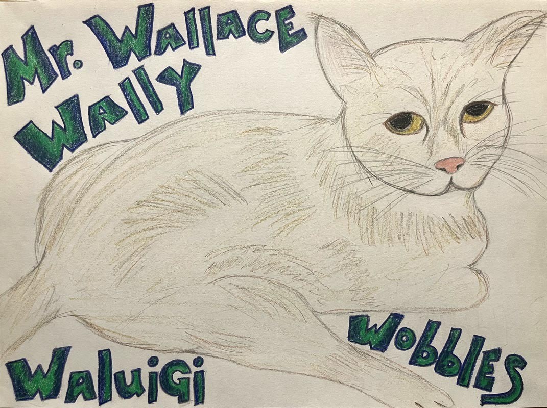 A drawing of a spaced out cat titled "Mr Wallace Wally Waluigi Wobbles"