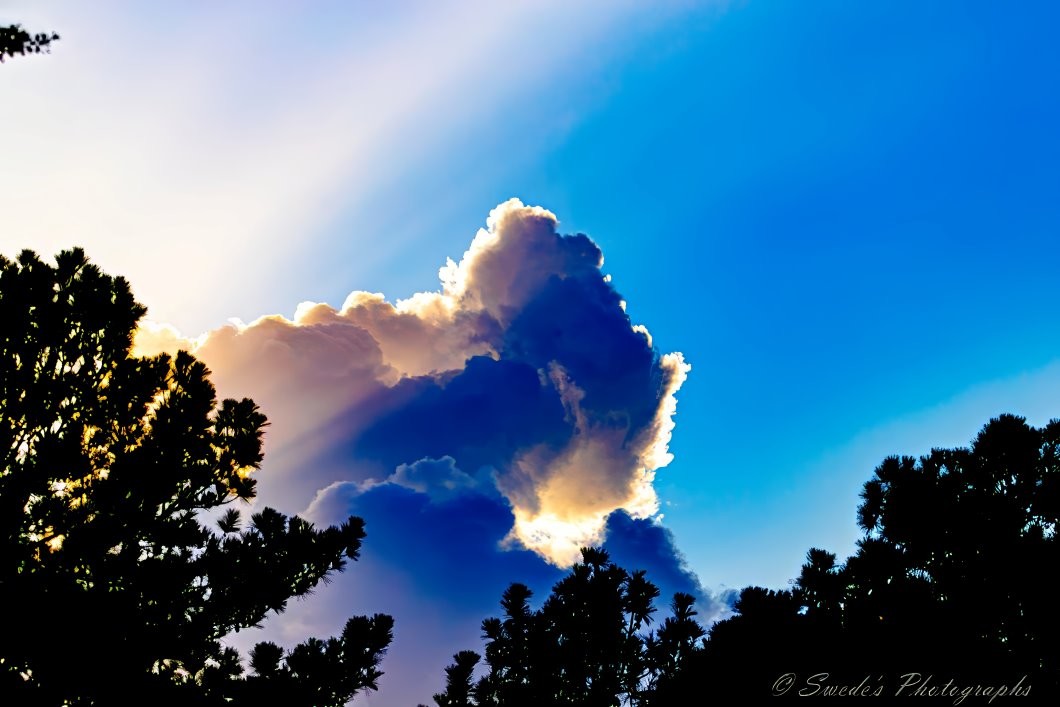 "The image shows a dramatic natural scene featuring a large, fluffy cloud that is backlit by the sun. The sunlight creates a bright, silver lining around the edges of the cloud, making it stand out against a deep blue sky that gradually lightens near the horizon. Below the cloud, the dark silhouettes of tree tops frame the bottom of the image, adding contrast to the bright sky above. The interplay of light and shadow, along with the vibrant colors, makes this image visually striking and beautiful." - Copilot