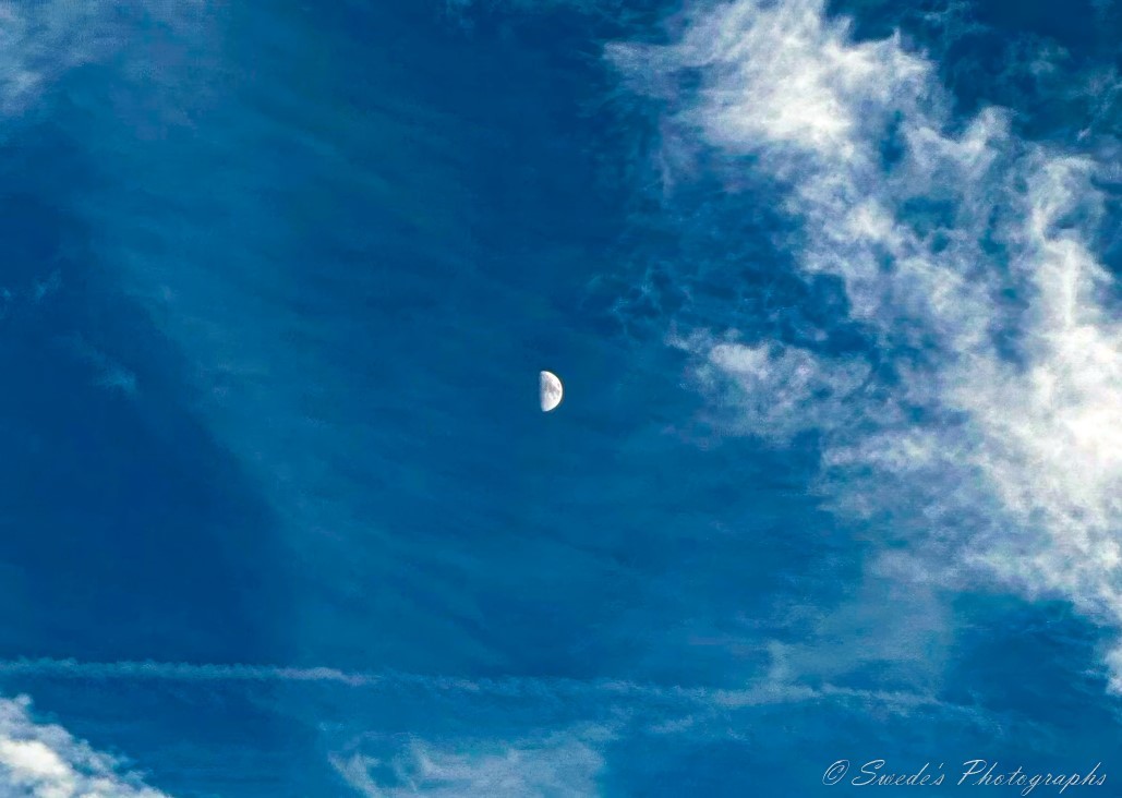 "The image shows a clear blue sky with some scattered white clouds. In the center of the image, there is a visible half-moon. The sky has varying shades of blue, with some areas appearing darker and others lighter due to the presence of clouds. The clouds are wispy and spread out, adding texture to the sky. The moon is the focal point of the image, standing out against the blue background. In the bottom right corner, there is a watermark that reads "© Swede's Photographs."

This image is interesting because it captures the moon during the daytime, which is a less common sight compared to seeing the moon at night." - Copilot