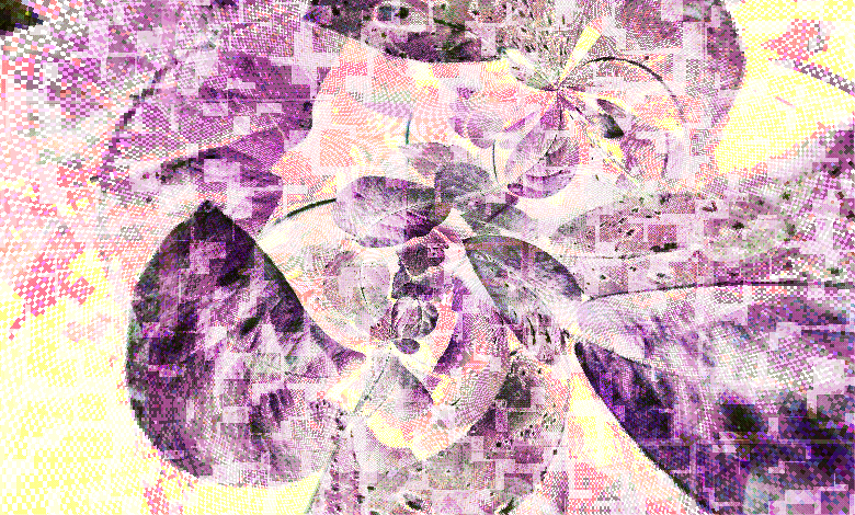 A weird, colorful piece featuring pink-purple leaves in a twisted, self-enveloped fashion on a coral-yellow background. Dots, spirals, and various artifacts emerge to create glitchy patterns.